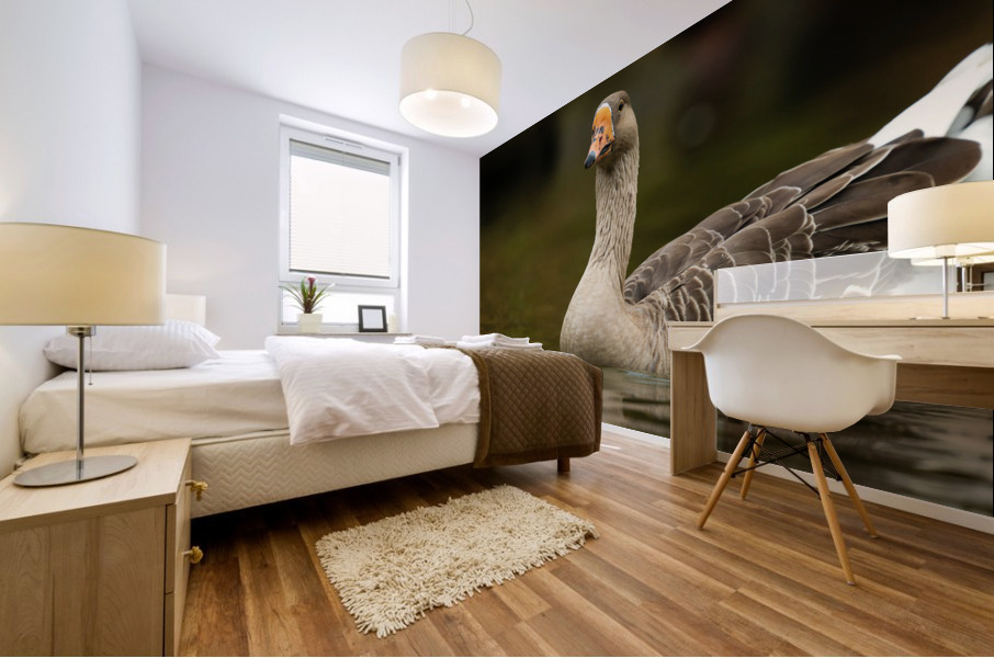 AC3Y5631 Edit Mural print