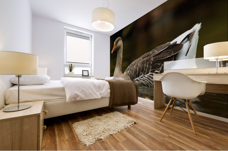 AC3Y5627 Edit Mural print