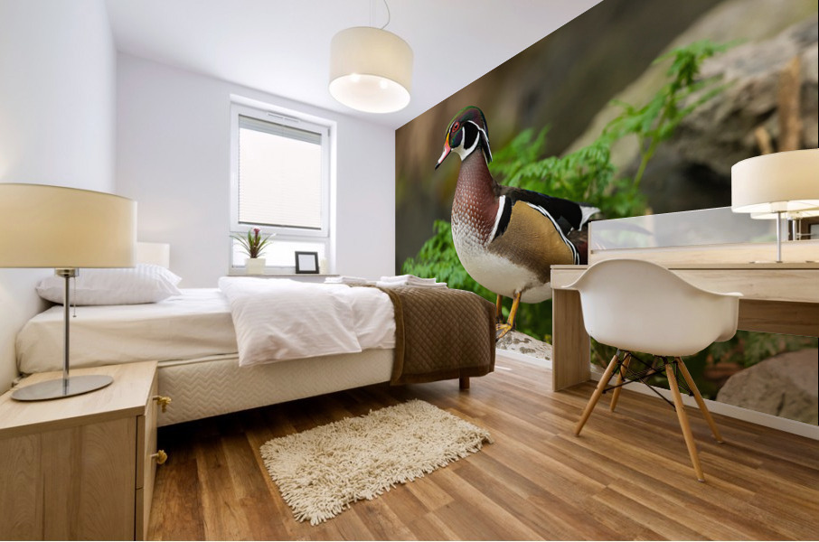 AC3Y3931 Edit 2 Mural print