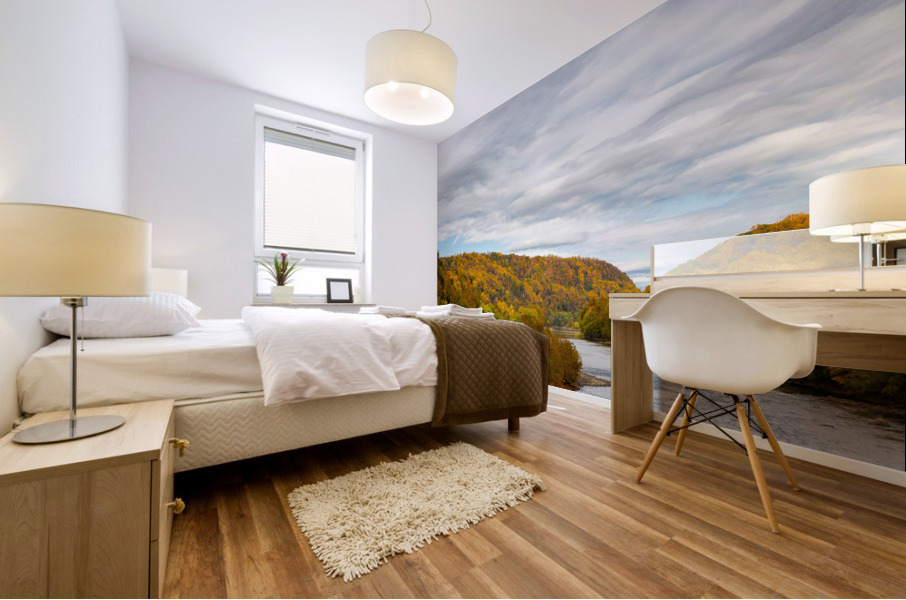 BM4A5926 Edit 2 Mural print