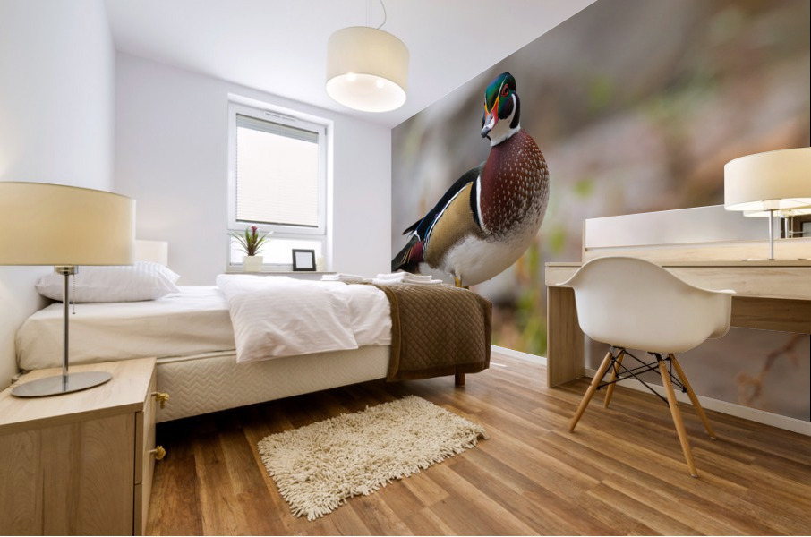 AC3Y5708 Edit Mural print
