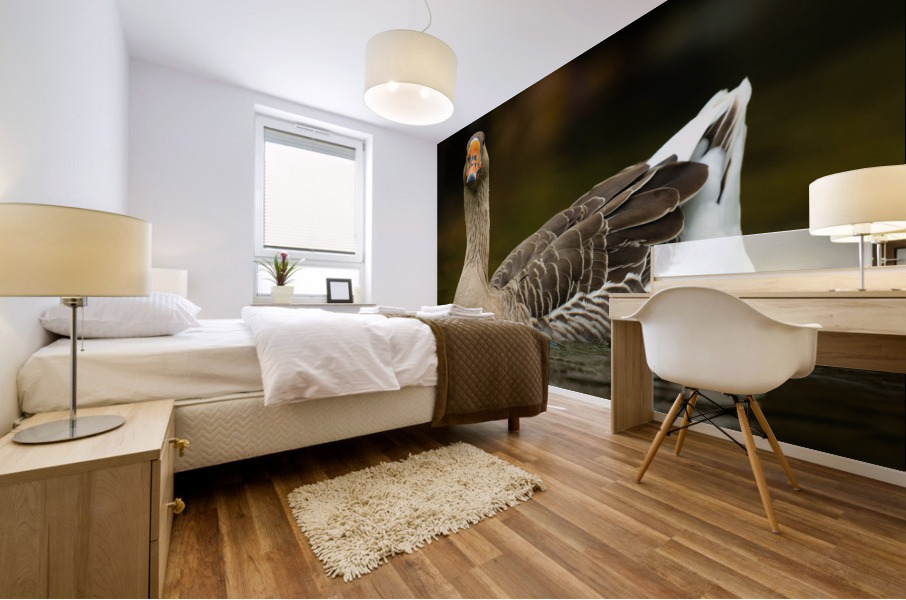 AC3Y5630 Edit Mural print