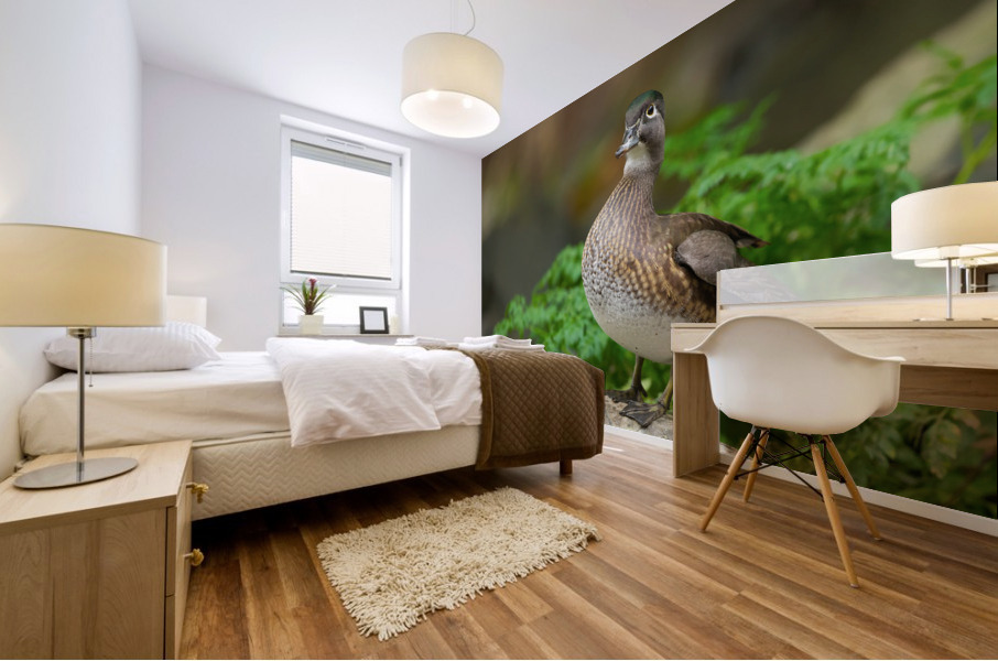 AC3Y3986 Edit 2 Mural print