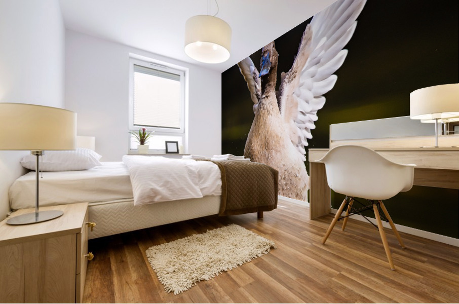BM4A4026 Edit Edit Mural print