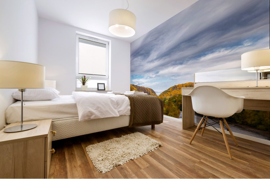 BM4A6025 Edit 2 Mural print