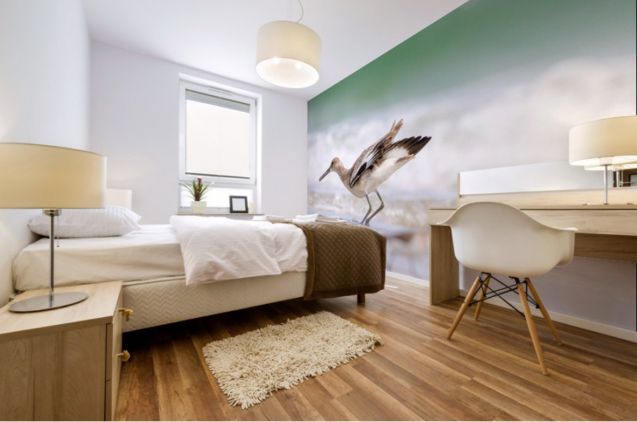  MG 3173 Mural print
