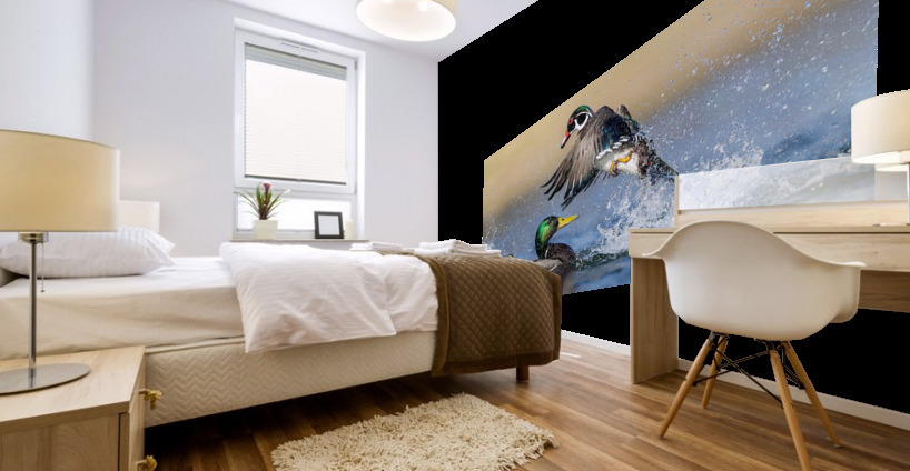 AC3Y6226 Edit Mural print