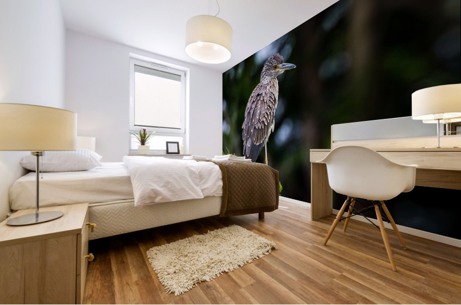  MG 2708 Edit Mural print