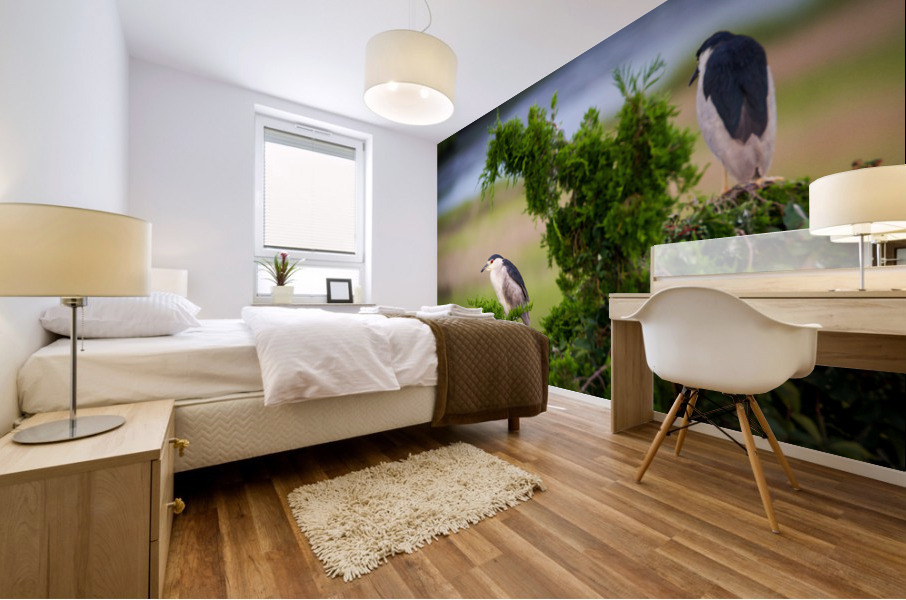  MG 2627 Mural print