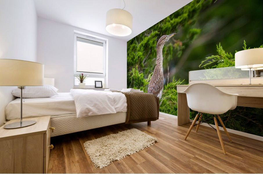  MG 2698 Mural print