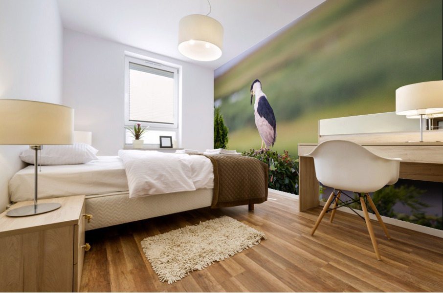  MG 2742 Mural print
