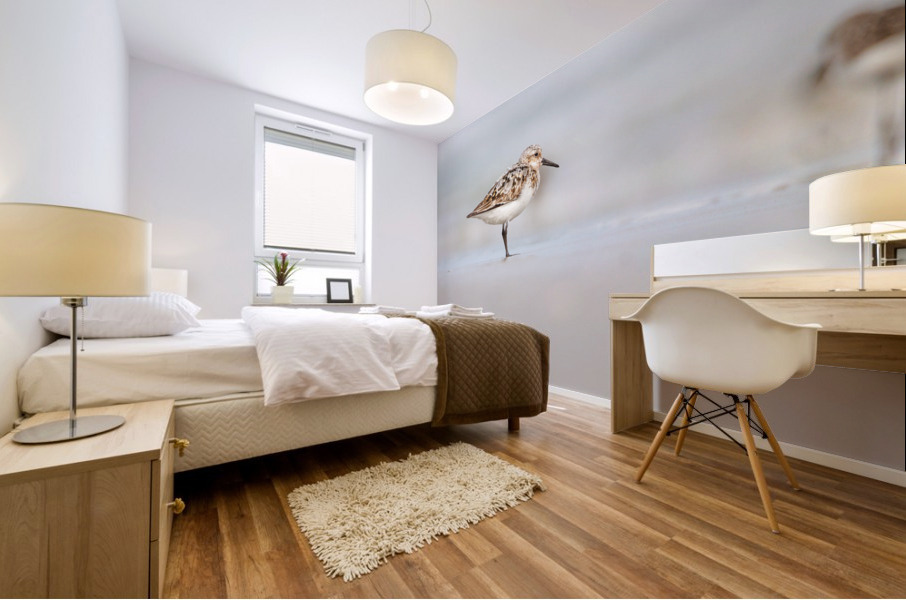  MG 3244 Mural print