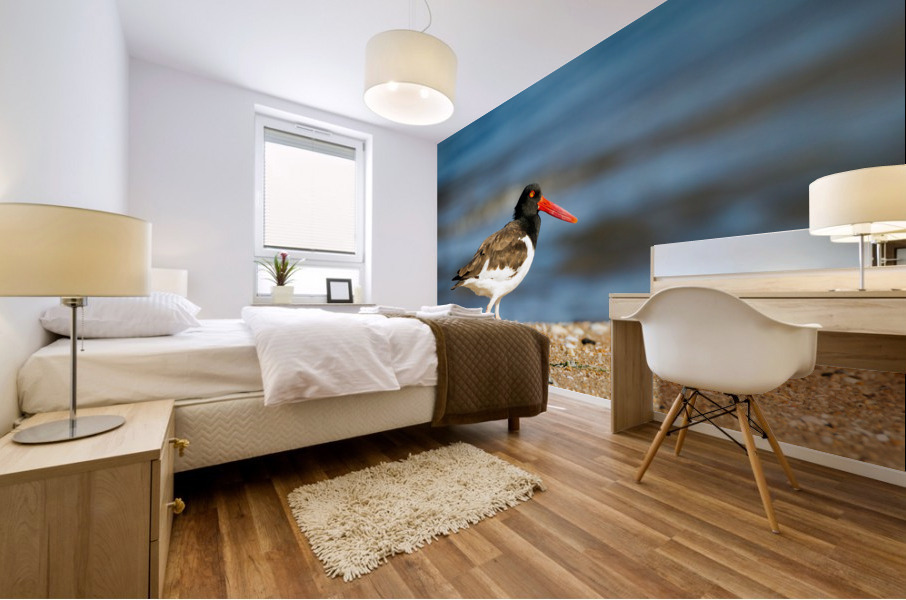  MG 5580 Edit Mural print