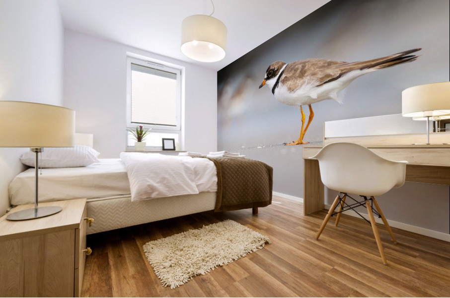  MG 3248 Mural print