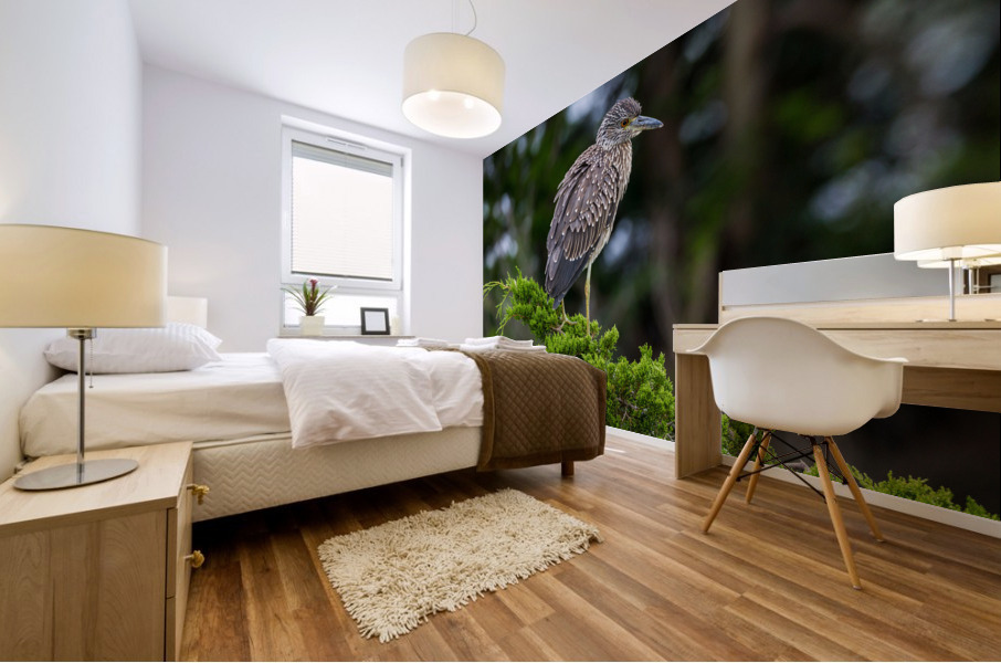  MG 2713 Mural print