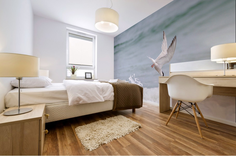  MG 3285 Mural print