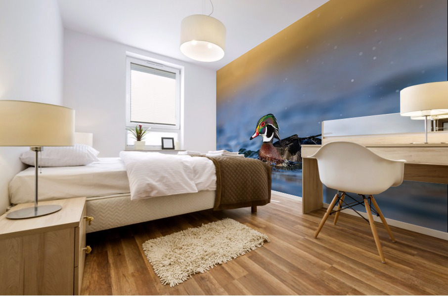 AC3Y6246 Edit 2 Mural print