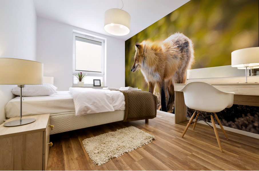  KM 1018 Edit Mural print