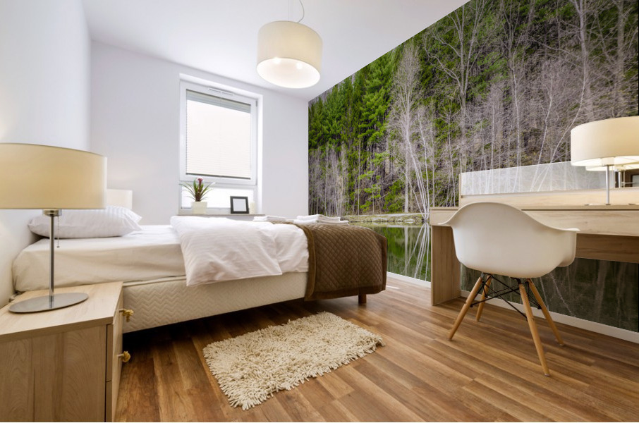 Evergreen Mural print