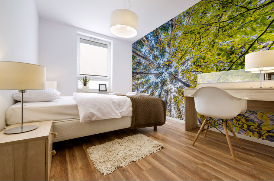 DP2L6911 Mural print