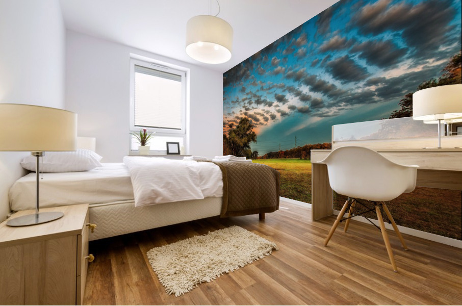 DP2L7294 Mural print