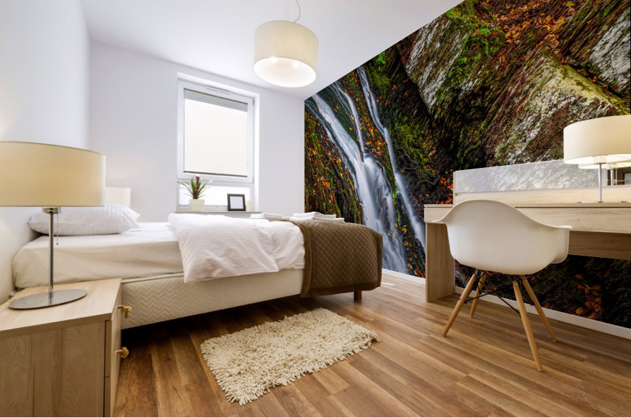 DPP07DC0A0F170249 2 2 Mural print