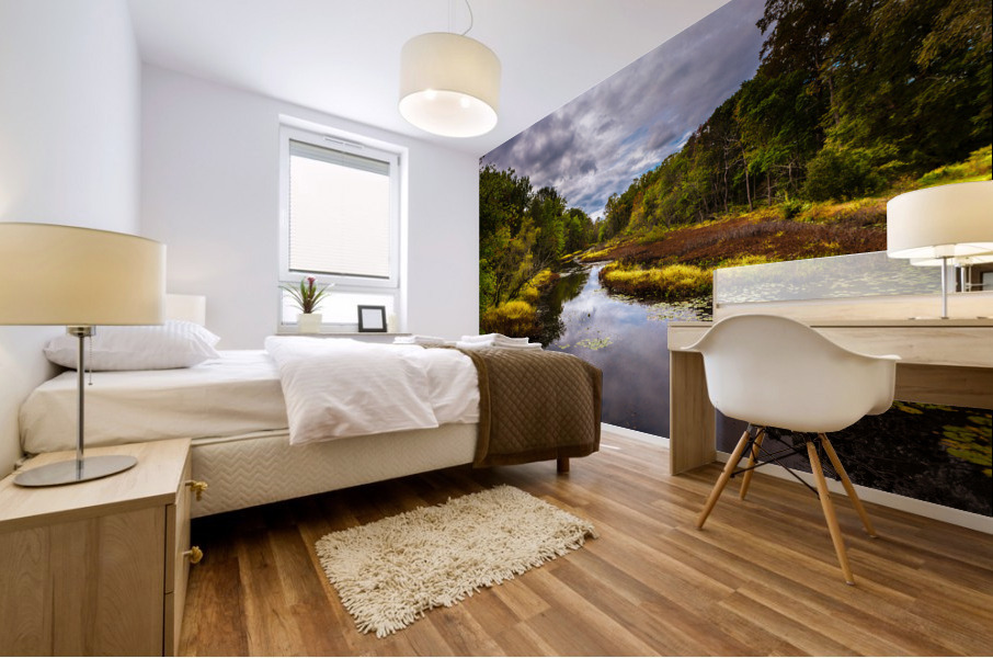 DP2L5377 Edit Mural print