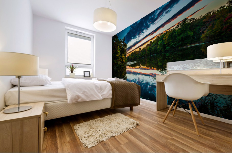 DP2L6221 Mural print
