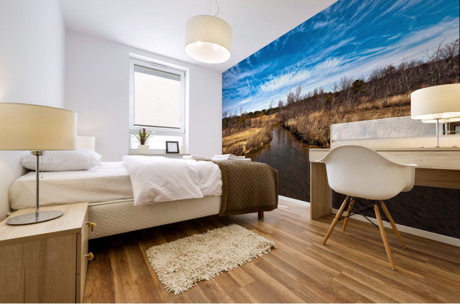 parlin HDR2 Mural print