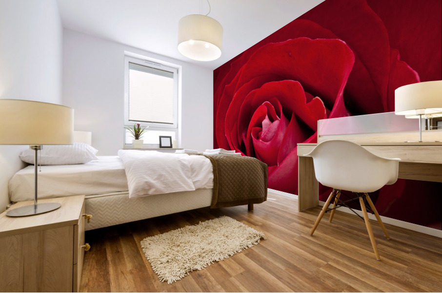  P2L6106 Mural print