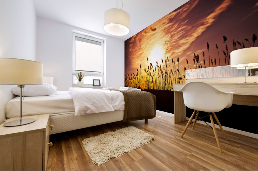 DP2L1752 Edit Mural print