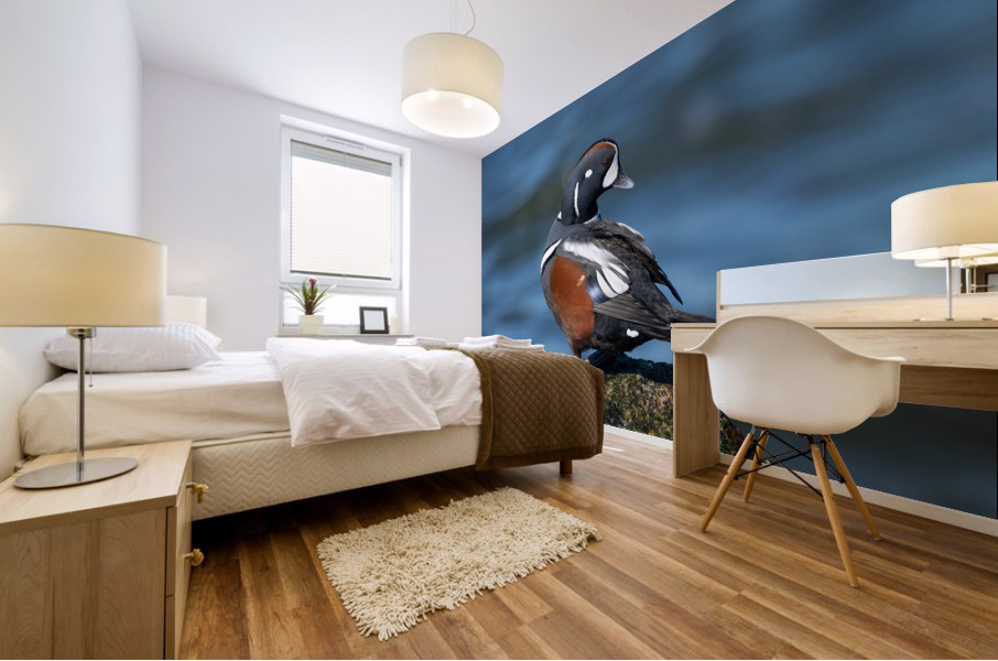 DSC09454 Edit Mural print
