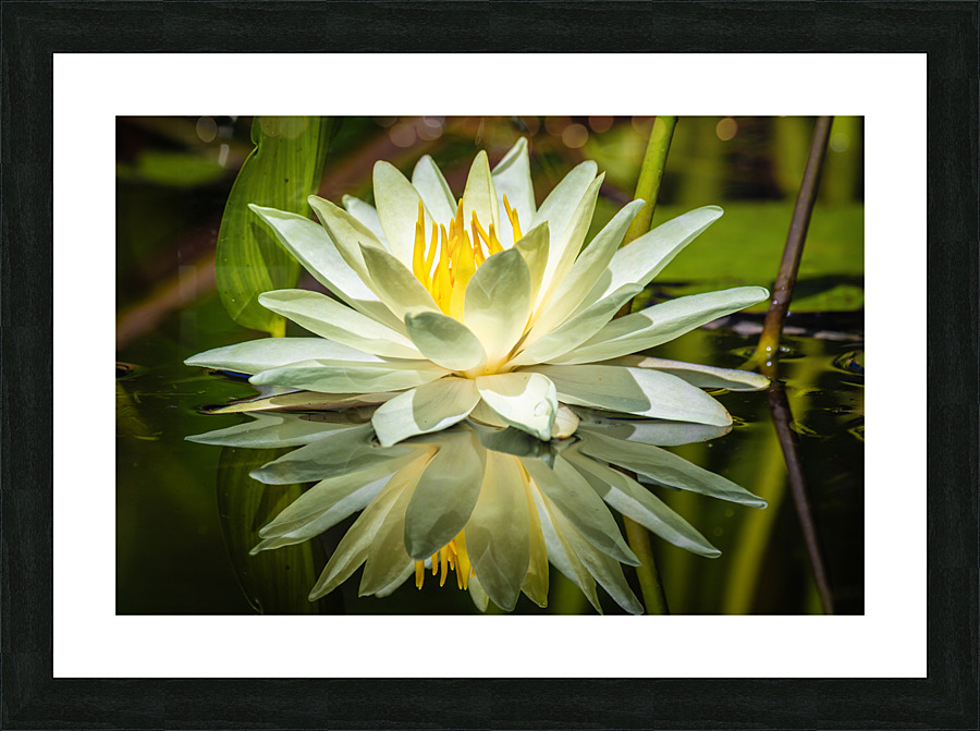5F4A9754 Edit Picture Frame print