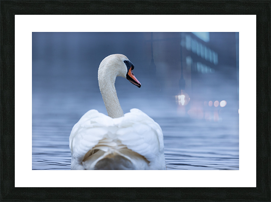 A29I4984 Edit 2 Picture Frame print