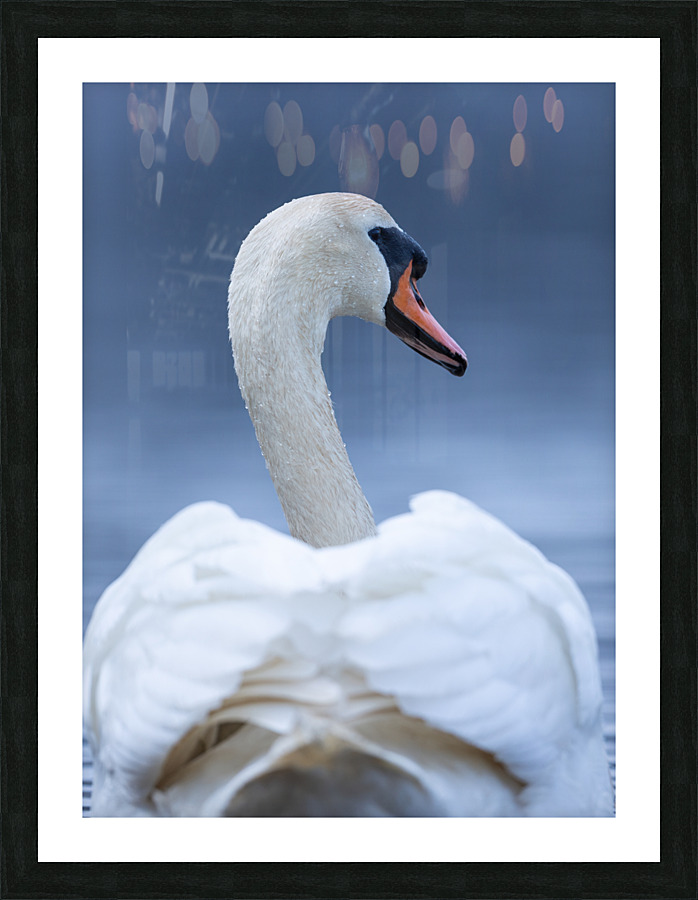 A29I4984 Edit 3 Picture Frame print
