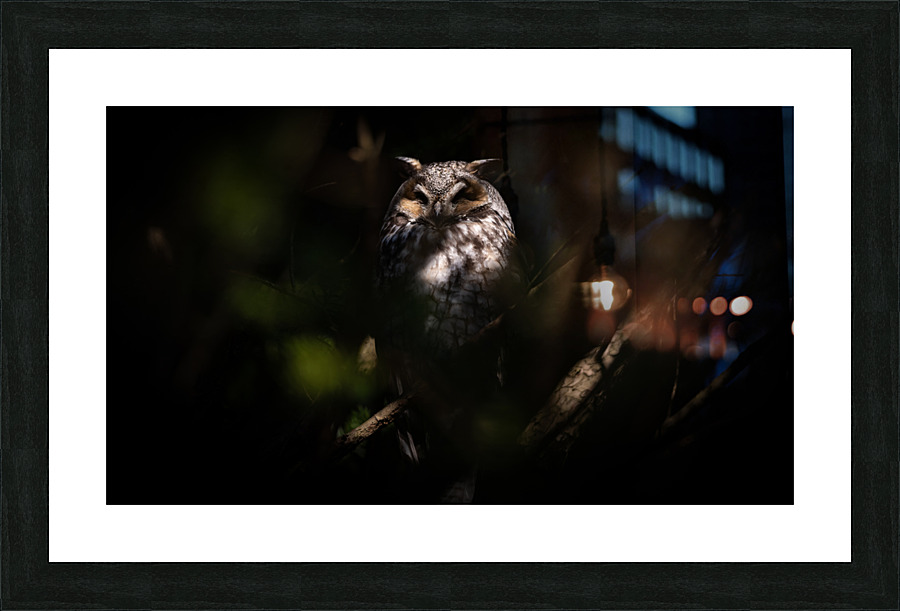 A29I0804 Edit 2 4 Picture Frame print