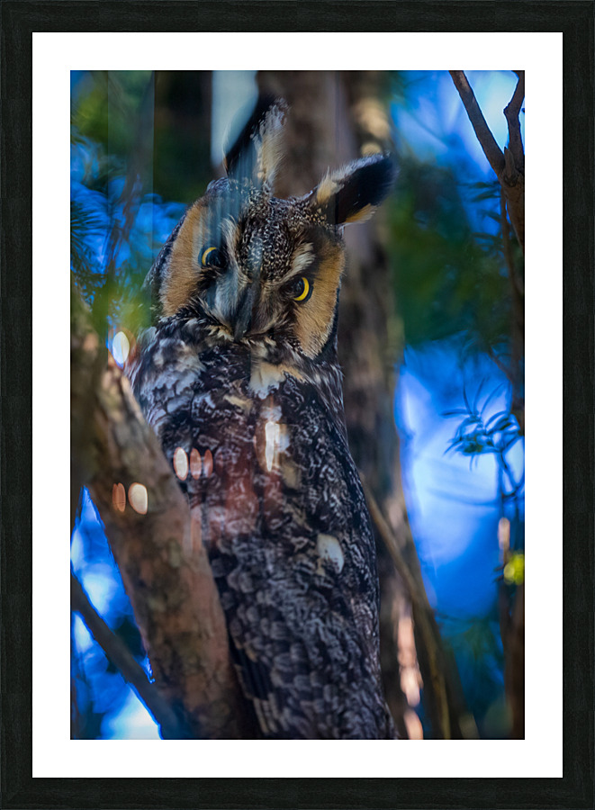 A29I7804 Edit 3 Picture Frame print