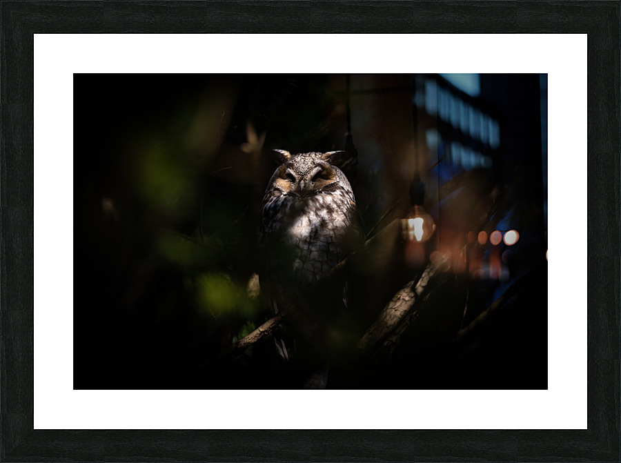 A29I0804 Edit 2 3 Picture Frame print