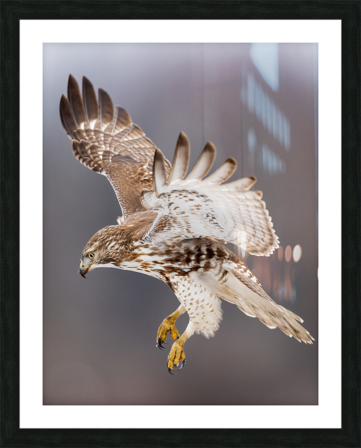 A66I2605 Edit 4 Picture Frame print