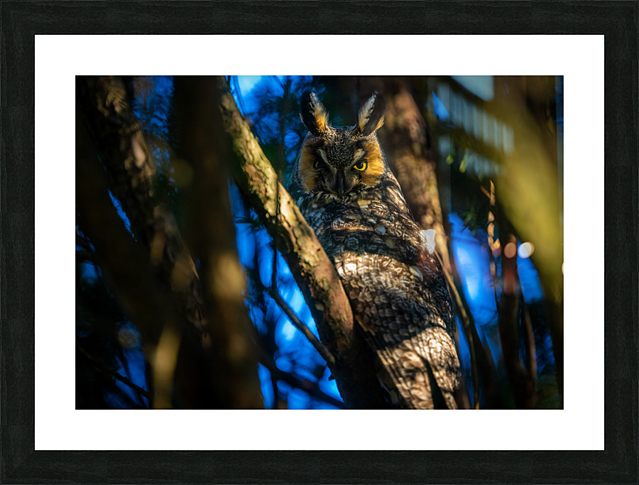 A29I7447 Edit 2 Picture Frame print