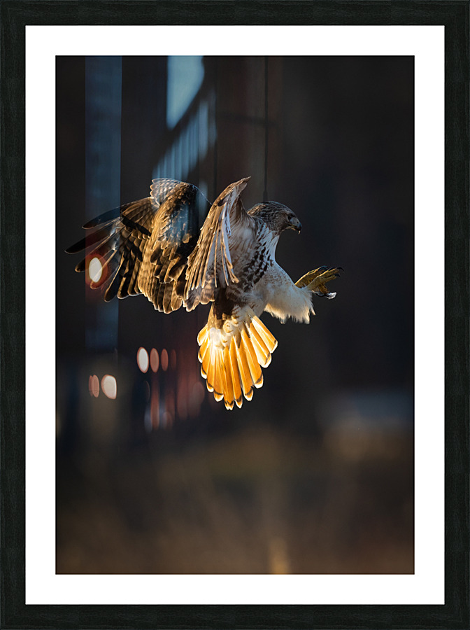 A66I6341 Edit 7 Picture Frame print