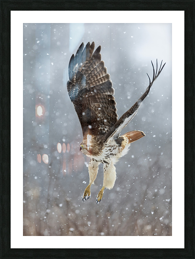 A66I1094 Edit 2 Picture Frame print