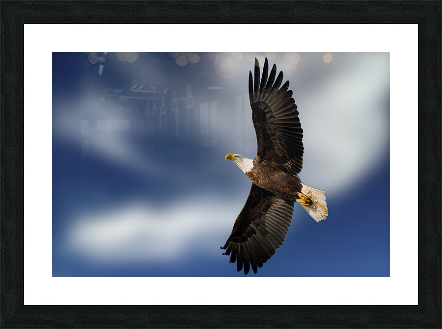 DSC01783 Edit Edit Picture Frame print