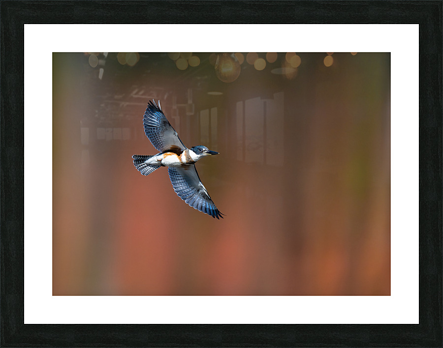 DSC01717 Edit Picture Frame print