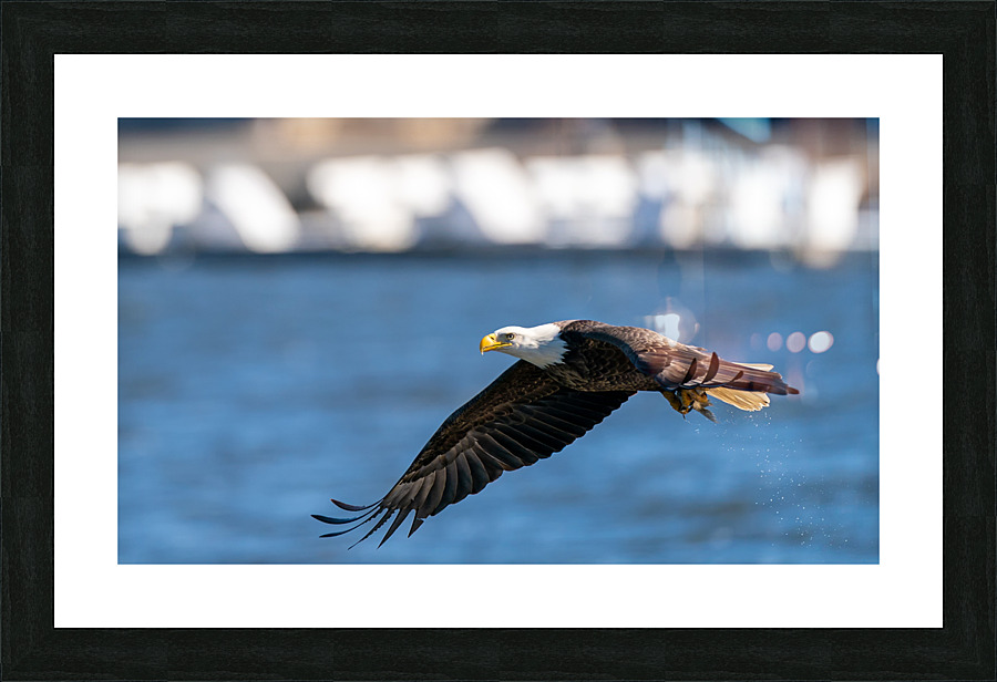 File 0001 Picture Frame print