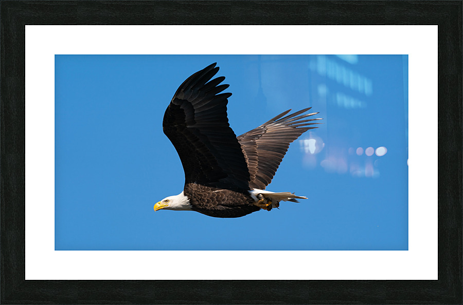 File 000 Picture Frame print