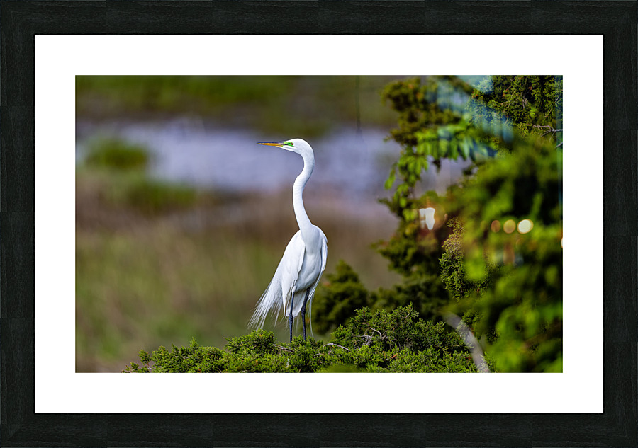 AC3Y6913 Edit Picture Frame print