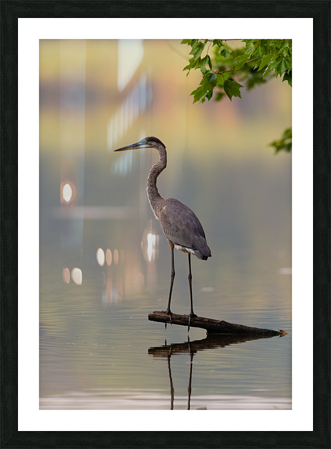 AC3Y8975 Edit1 Picture Frame print