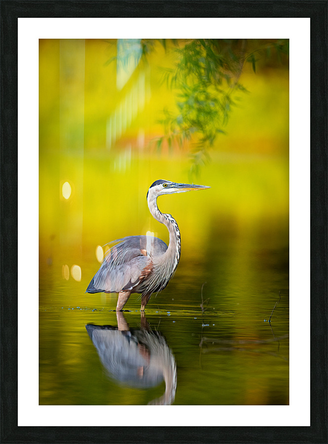 AC3Y9757 Edit Picture Frame print