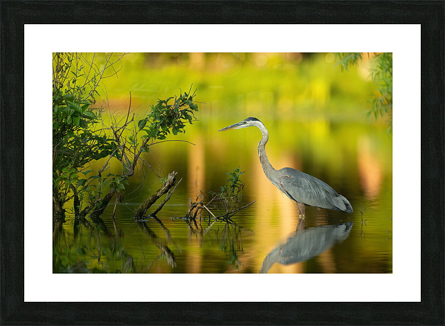 AC3Y9725 Edit 2 Picture Frame print